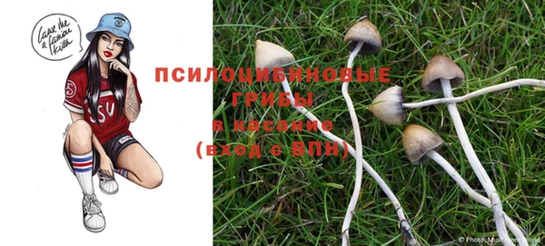 стафф Вяземский