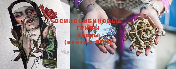 хмурый Горно-Алтайск